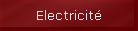 Electricit