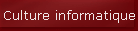 Culture informatique