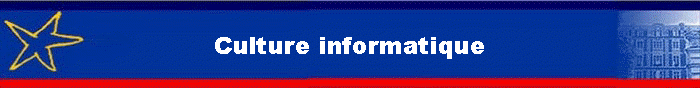 Culture informatique