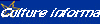 Culture informatique