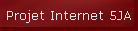 Projet Internet 5JA